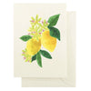 Lemons Boxed Card Set